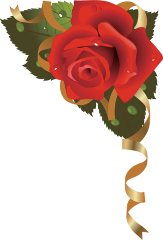 Png Gül Resimleri, Harika Png Gül Resimleri, Süper - Garden Roses (325x480)