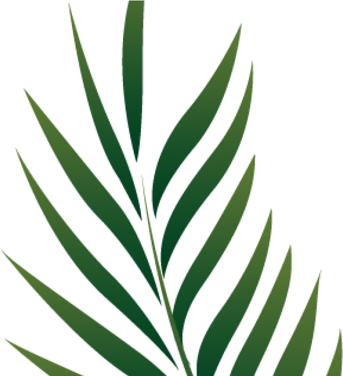 News By Category - Zazzle Blatt-plakat-kunst-bild Poster (735x735)