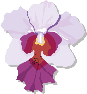 1985-1995 - Singapore National Flower Clipart (425x425)