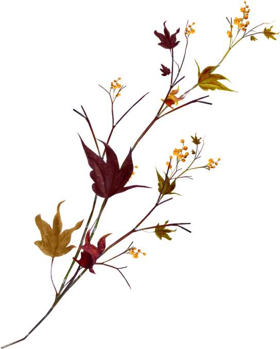 Floral Design Cut Flowers Clip Art - Maple Leaf (600x714)