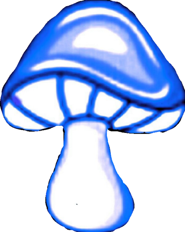 Mushroom Vector Icon - Blue Mushroom Png (600x750)