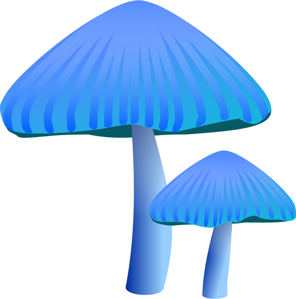 Orange Mushroom - - Blue Mushroom Clip Art (600x606)
