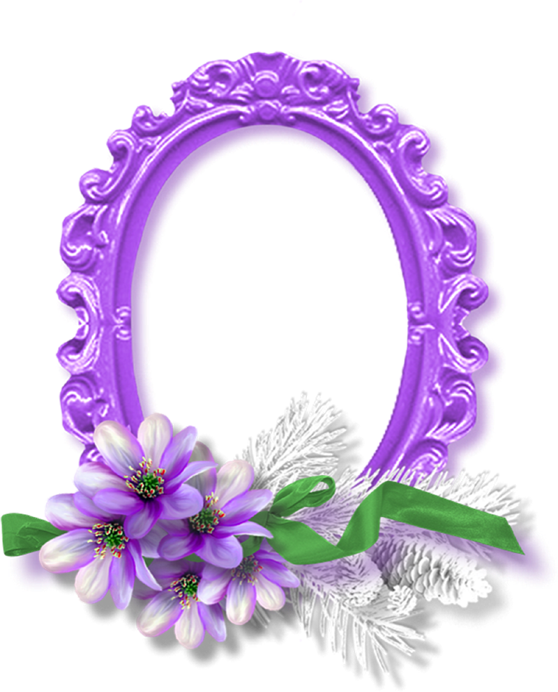 Purple Oval Flower Frame Png (800x992)
