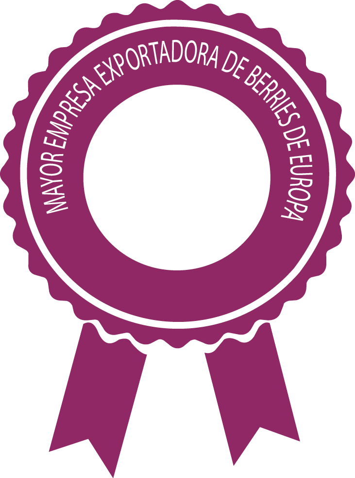 Size 50 - Vector Graphics (731x983)