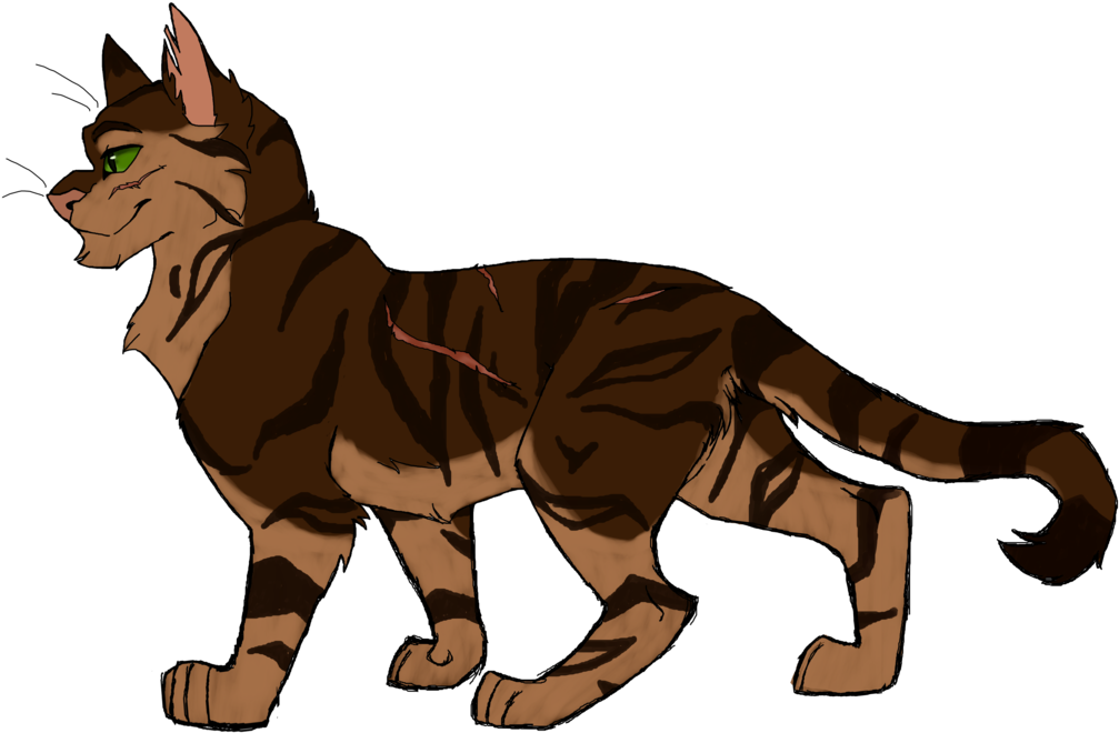 Timberfur By A Bakers Passion - Schipperke (1024x686)