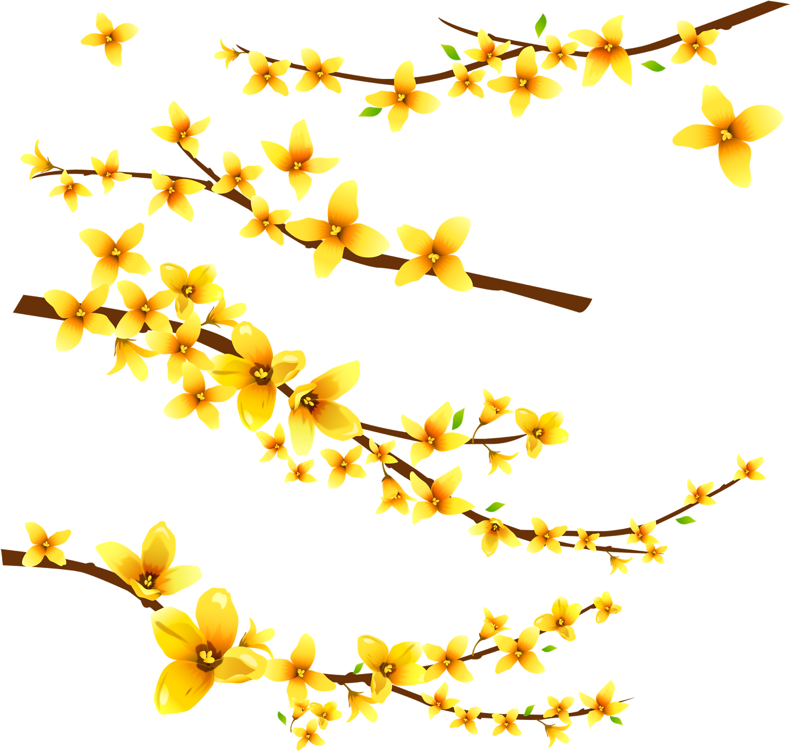 Png Клипарт "весенние Цветы" - Цветы Желтые Пнг (1600x1523)