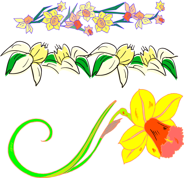 边框花纹 - 边框花纹 (848x828)