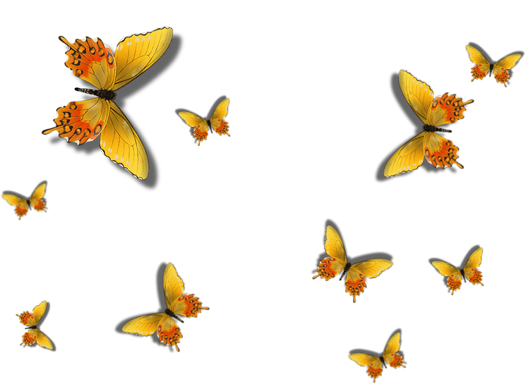 Butterflies Lilac By Jassy2012 - Animal Print Notebook Collection: Butterfly Design, (745x545)