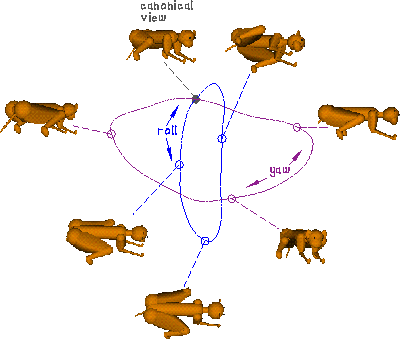 A Network Implementing Multiple-view Representation - Canonical View (400x339)