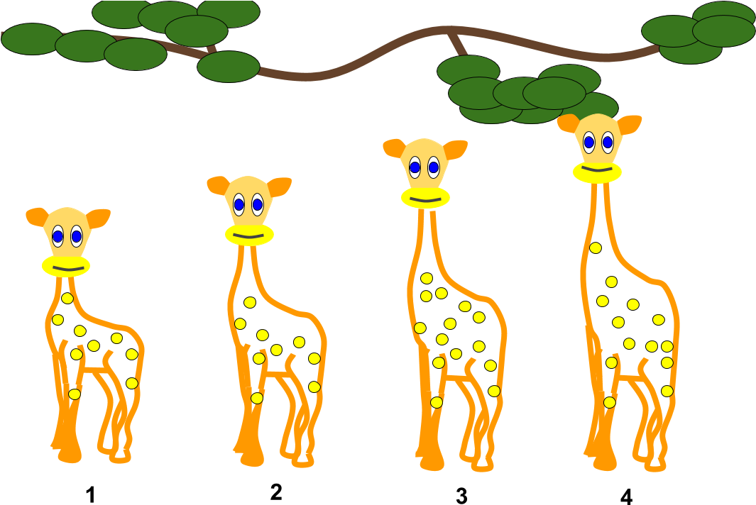 Pics Of Cartoon Giraffes 14, Buy Clip Art - Giraffe Lamarck (1120x726)