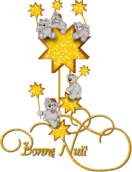 Gifs Scintillant Bonne Nuit - Tuesday Glitter (433x567)