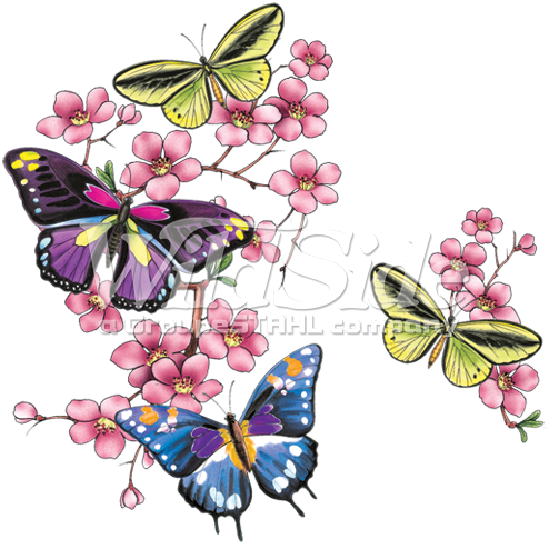 Cherry Blossom Butterflies - Fan-o-menal Textilien Kinder T-shirt Mit Print - Schmetterlinge (494x494)