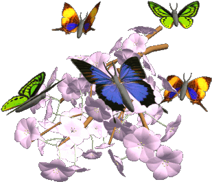 Lyrics We're Just Butterflies In A Caterpillar World - Animated Flowers And Butterflies (390x312)