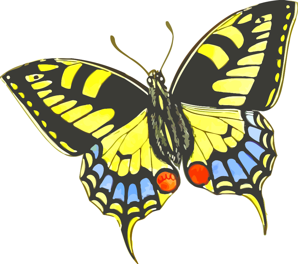 Butterfly - Butterfly Letter B (1000x886)