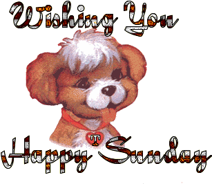 Good Morning Images In Hindi For Whatsapp Free Download - Happy Sunday Images Gif (350x350)