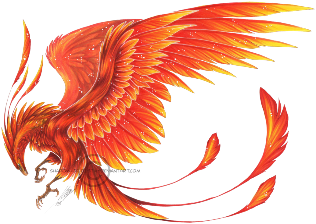 More Collections Like Phoenix On Arm By Graphyte-guru - Phoenix Bird Png (1067x749)