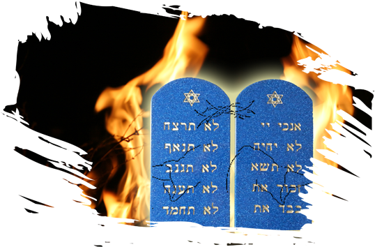 A Whole Bible - Bible (640x360)