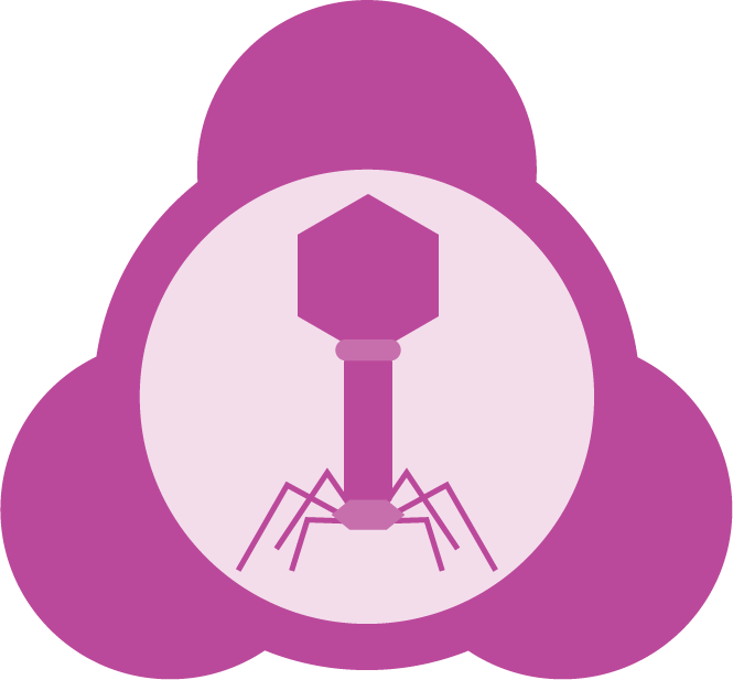 Phage Lambda - Illustration (665x617)