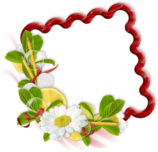 Cadre,frame,tube,png - Cadre,frame,tube,png (600x579)