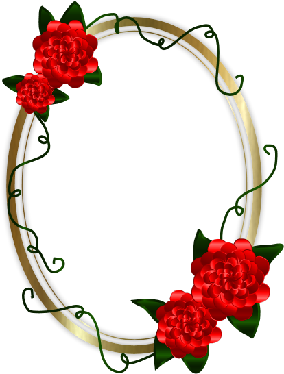 Psp Tubes, Frames & Tagbacks - Ashley's Design & Letterman Jackets (499x636)