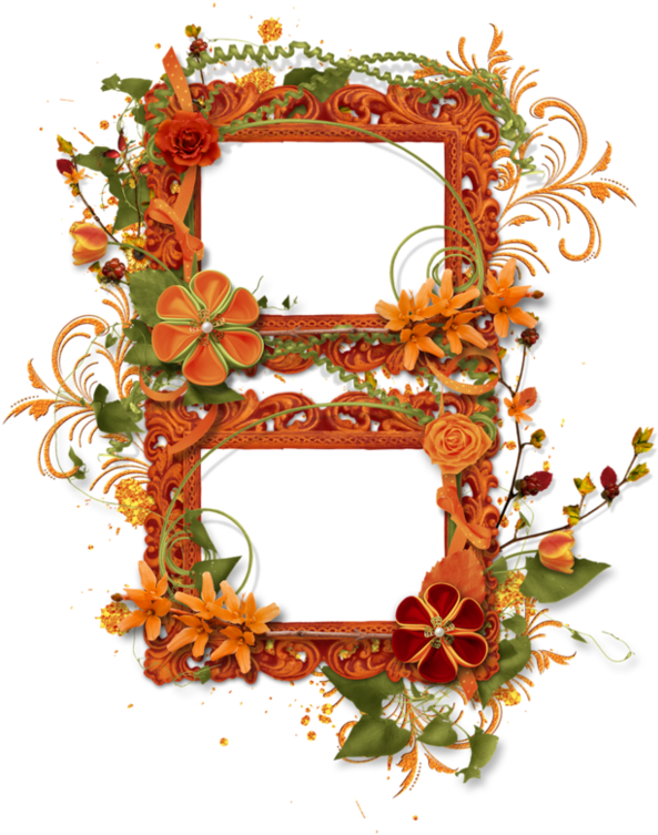 Writing Papers, Frames, Cover, Belles Images, Tube, - Floral Design (600x774)