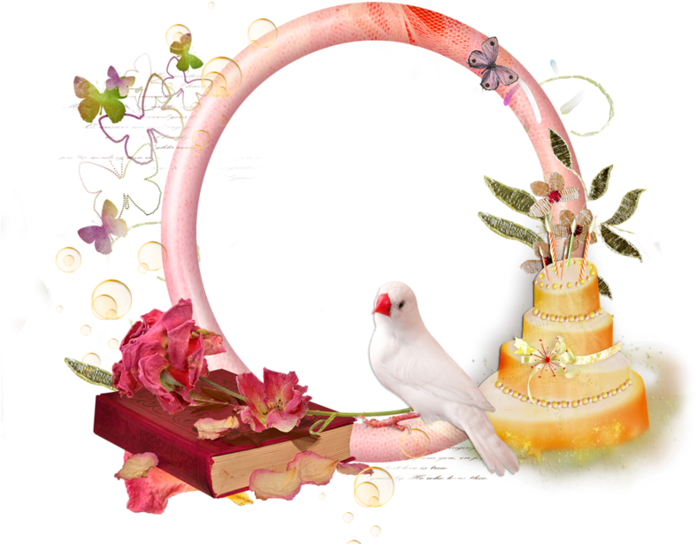 Tube Cadre Pour Anniversaire (800x701)