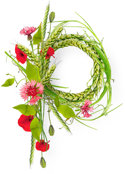 Cadre,frame,tube,png - Poppy (506x600)