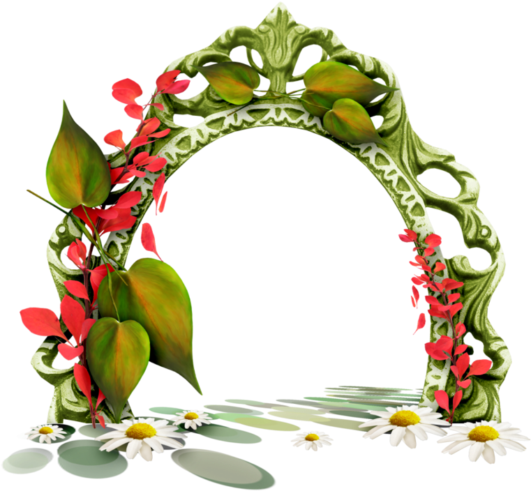 Picture Frame (800x716)