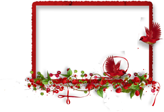 Picture Frame (600x600)