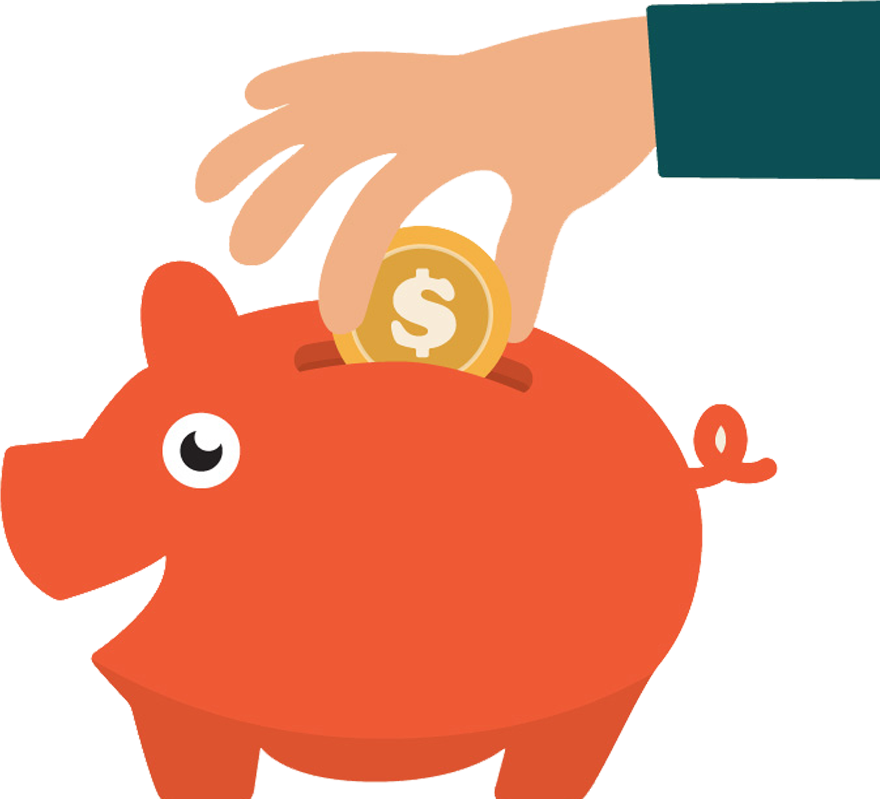 Domestic Pig Piggy Bank Cartoon - Domestic Pig Piggy Bank Cartoon (2362x2362)