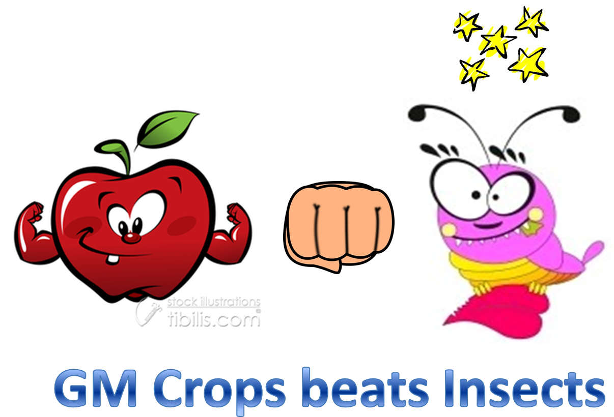 Image Courtesy Of Foodsafetycentral - Environmental Benefits Of Gm Crops (1260x839)