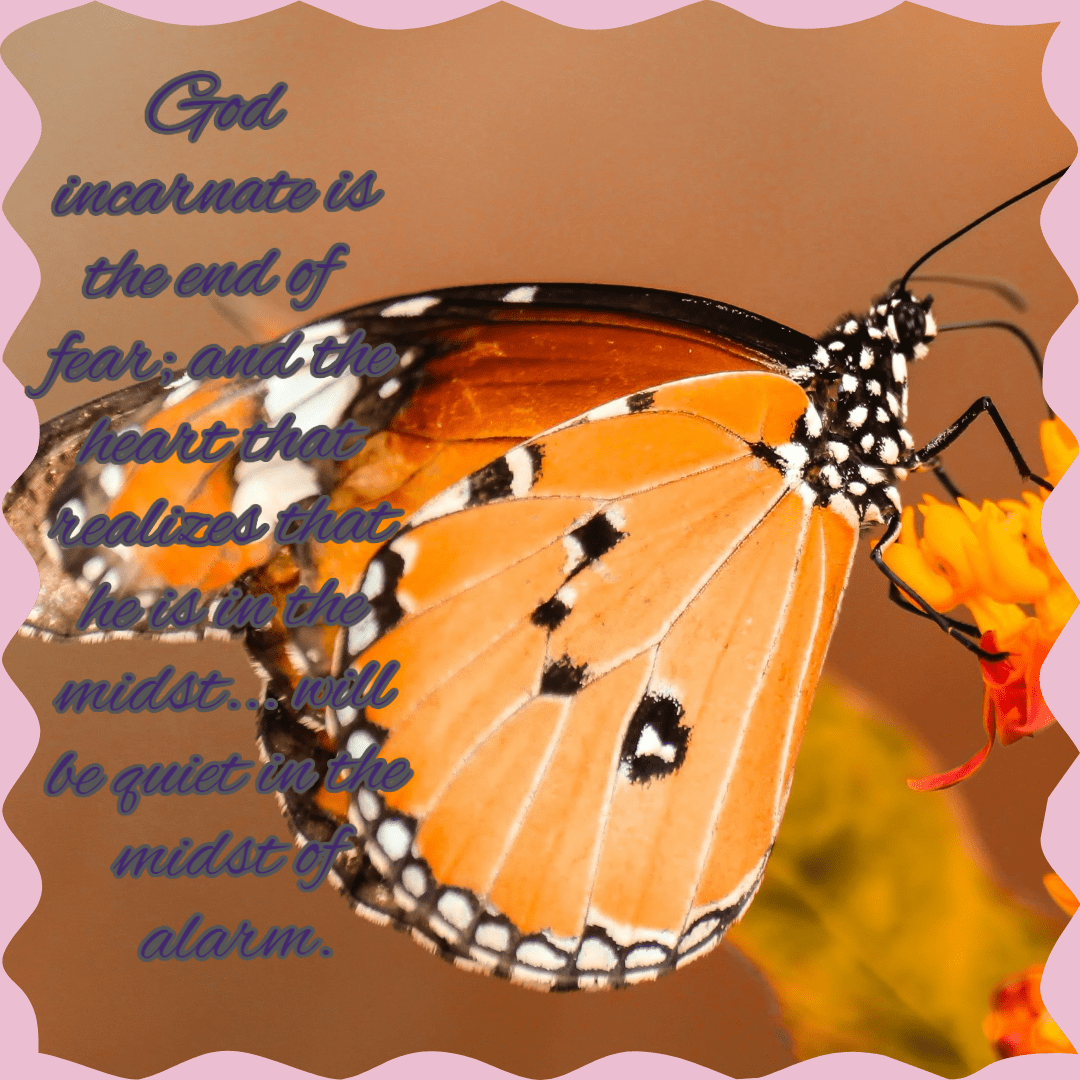 Butterfly, Moths, And, Butterflies, Monarch, Insect, - Butterfly (1080x1080)