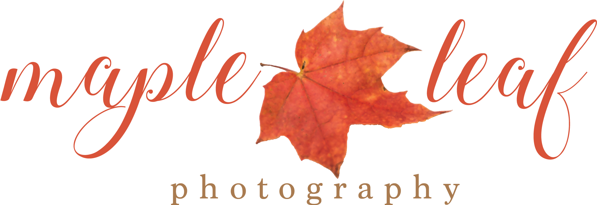Maple Leaf Photography - Photographer (2086x770)