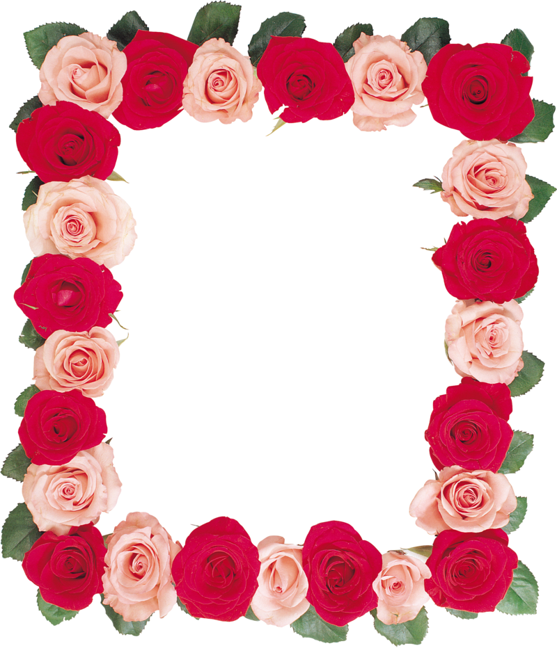 Png Çerçeve Resimler, Cadres Png, Tubes Png, Images, - Рамка Из Роз Png (800x932)