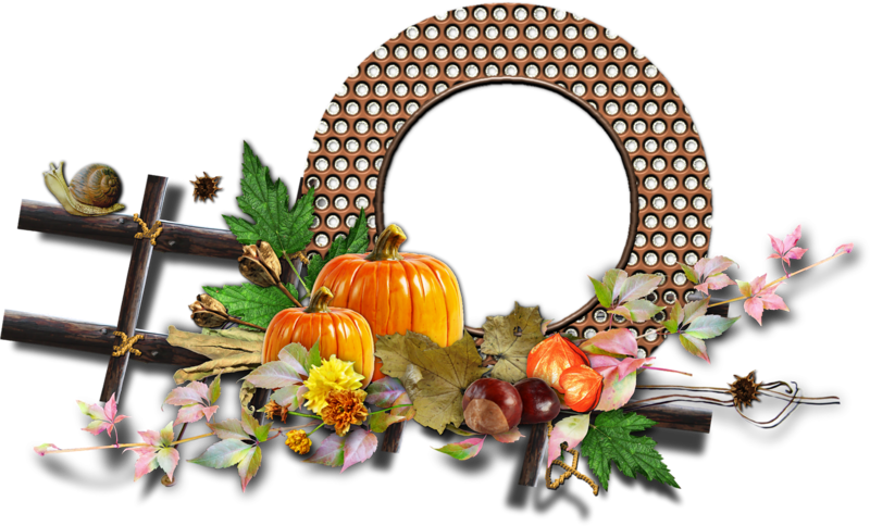 0 121347 Ecb997ce Xl - Persimmon (800x484)