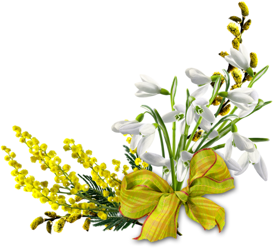 Festa Della Donna 8 Marzo Tubes Png Materiale Grafico - Весенний Клипарт Пнг (566x800)