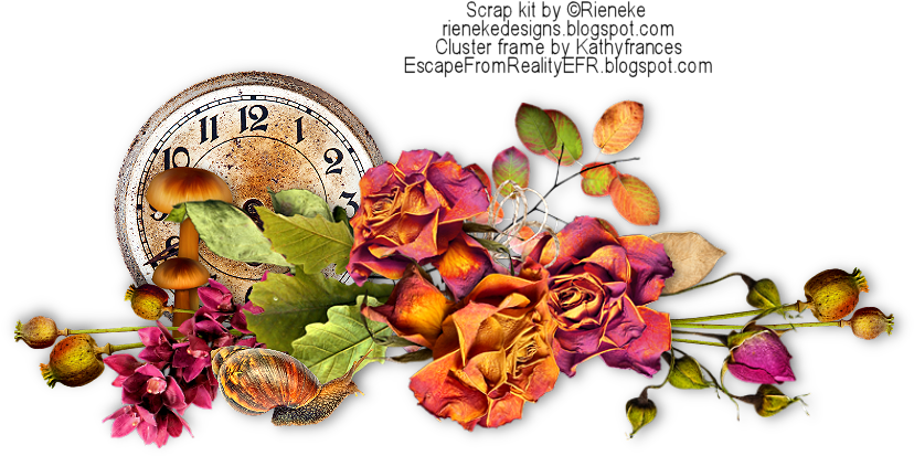 And Here Is What I Made Using One Of The Cluster Frames - Garden Roses (839x434)