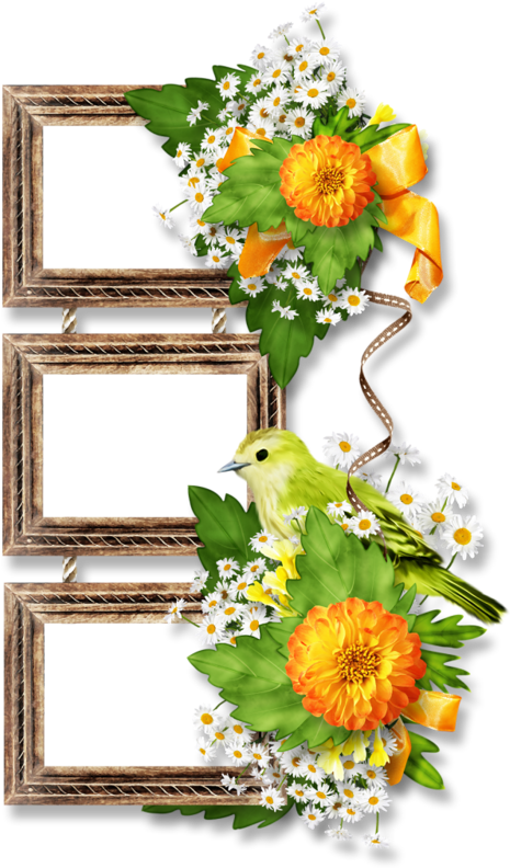 Scrapbooking (472x800)