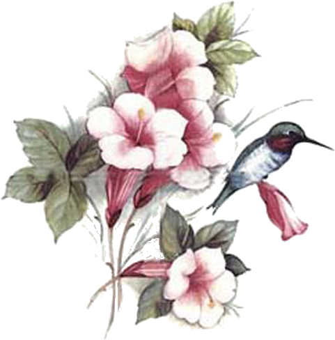 Vintage Roses, Bird Art, Flower Prints, Decals, Free - Ruby-throated Hummingbird (500x498)