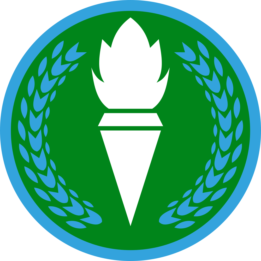 Tanzanian Air Force Roundel - Logos And Uniforms Of The New York Mets (1000x1000)