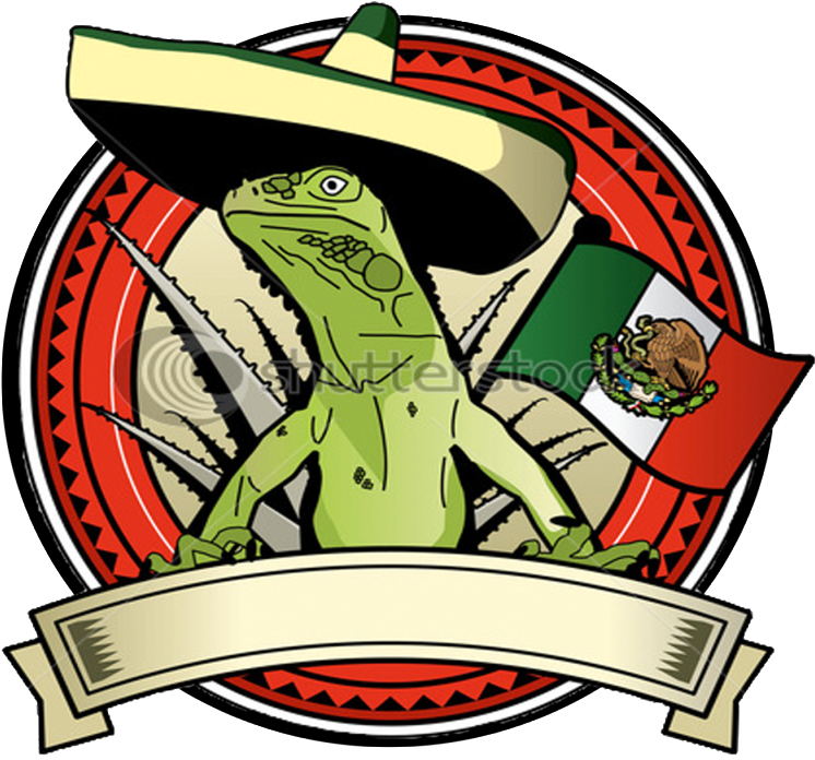 I Want To Remove This Watermark But I Cant Seem To - Iguana (800x800)