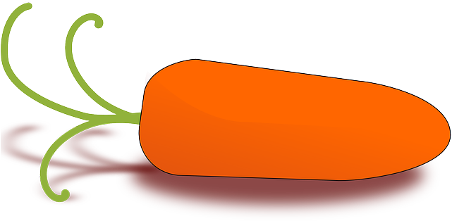 Baby, Food, Drawing, Cartoon, Little, Plant, Carrot - Food For Baby Drawing (640x320)