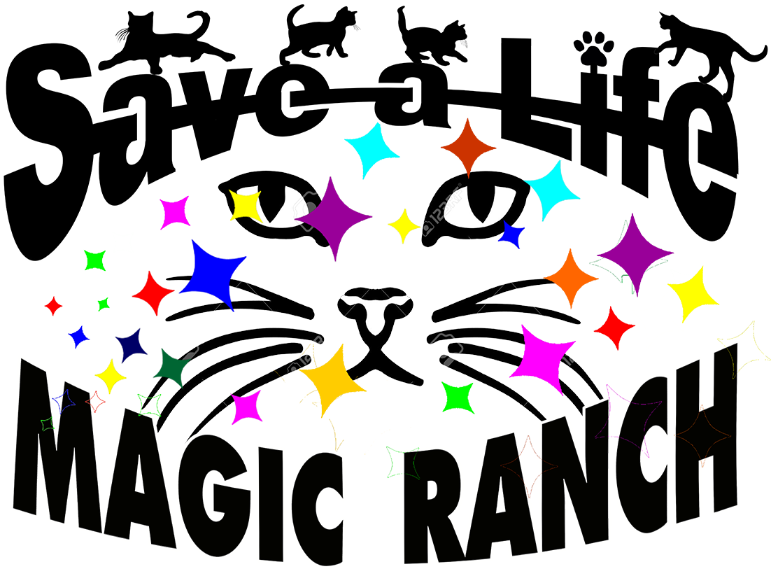 Please Visit Us At Our Adoption Locations To Find Your - Zippo Lighter: Kitty Cat - Cream Matte 77481 (1200x864)