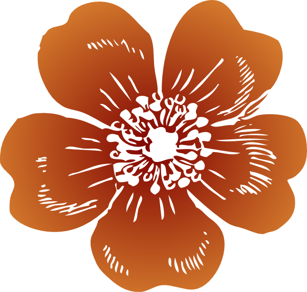 Wild Rose Vector (600x570)