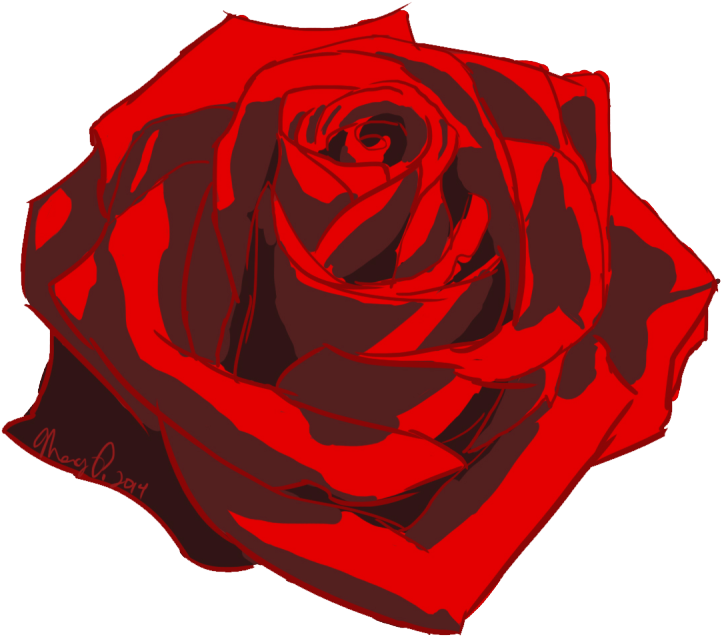 Drawn Rose Transparent - Rose Photoshop (1280x857)