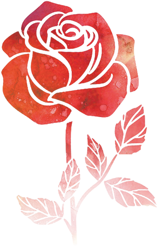 Flower Watercolor Painting Drawing Rose - Rose (658x964)