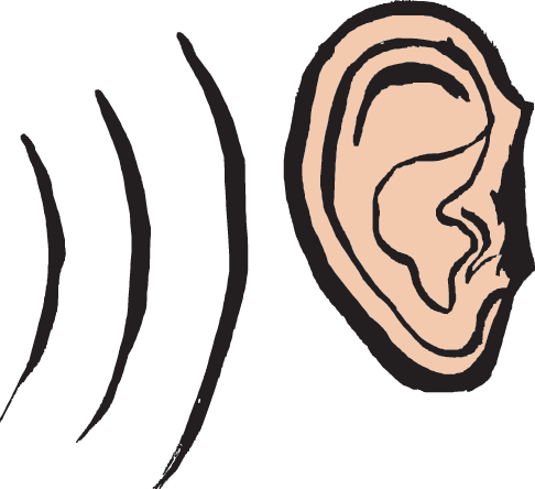 Magic School Bus Sound Match - Dibujos De La Audicion (486x444)