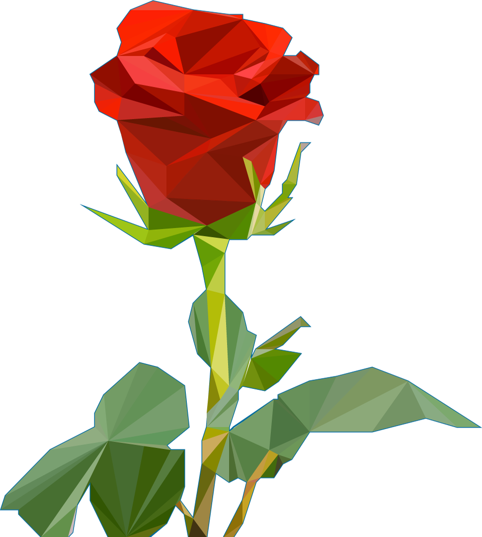 Poly Rose - Roj Flowers (970x1080)