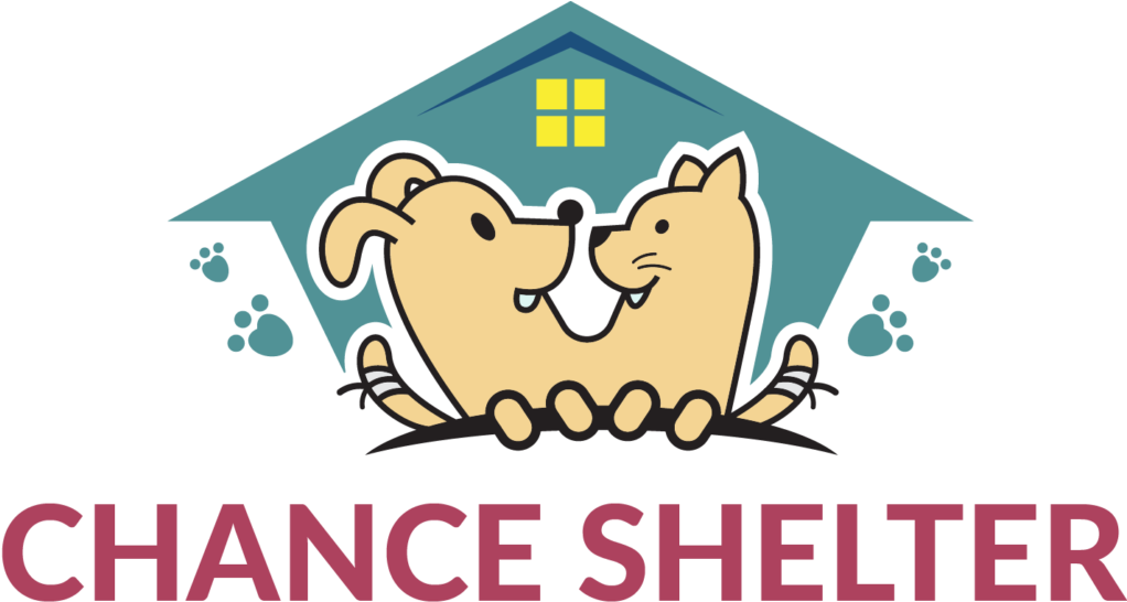 No Kill Shelter Surprise, Arizona 85374 - Keyboard Shortcut (1024x579)