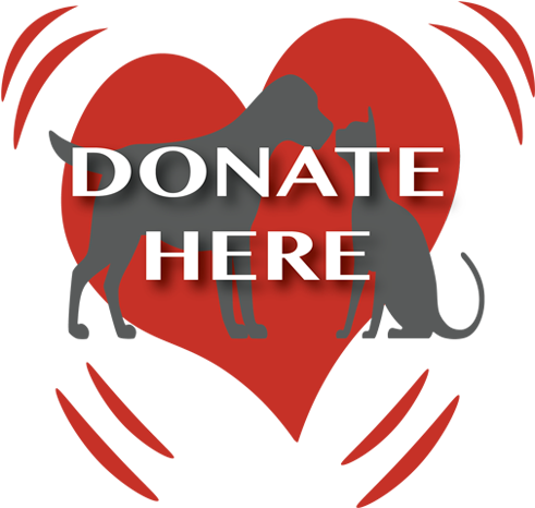 We Are Running Out Of Time - Skydive (500x500)